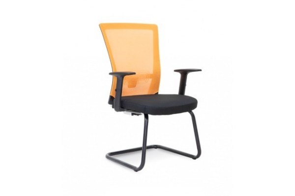 RAISE - P6 RAISE - P6